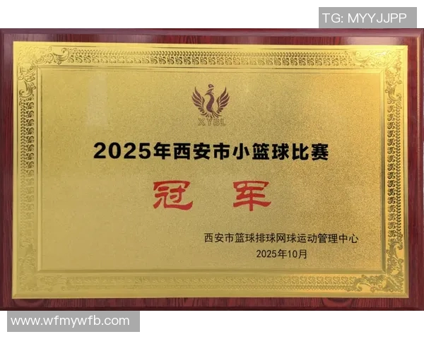 西安篮球队在联合会杯积分榜上以65分稳居第一名展现强劲实力 西安篮球队在联合会杯积分榜上以65分稳居第一名展现强劲实力